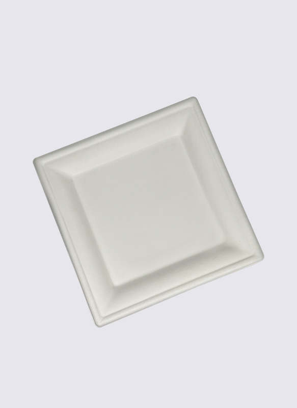 16cm Square Bagasse Sugarcane Eco-Friendly Food Plate