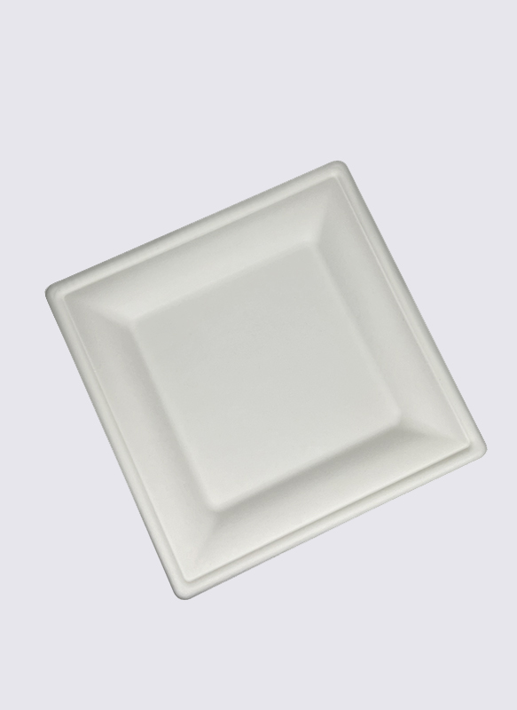 20cm Square Bagasse Sugarcane Eco-Friendly Food Plate