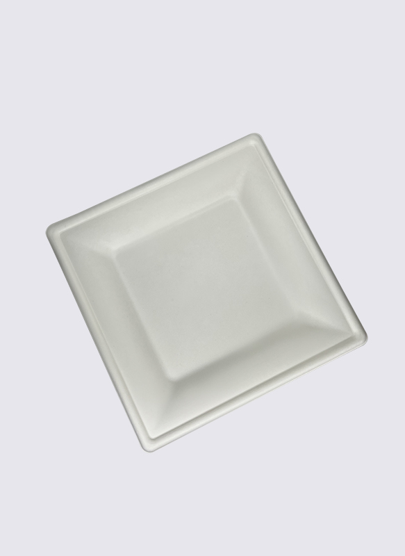 26cm Square Bagasse Sugarcane Eco-Friendly Food Plate