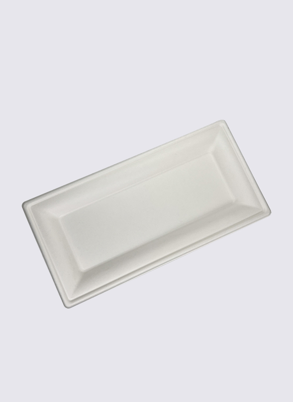 Rectangular Bagasse Sugarcane Eco-Friendly Food Plate