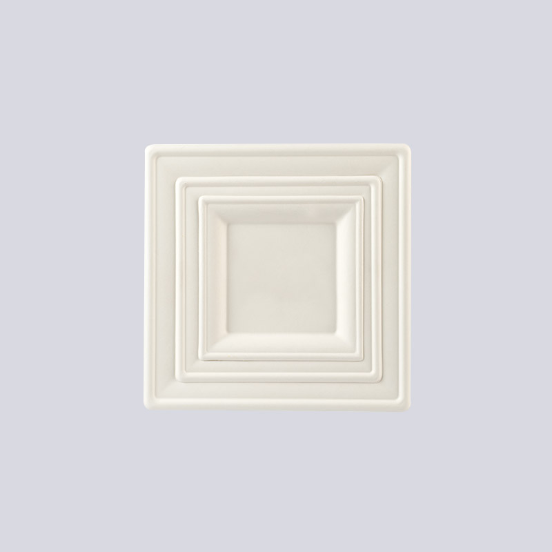 Molded Fiber Plate & Cup Tray