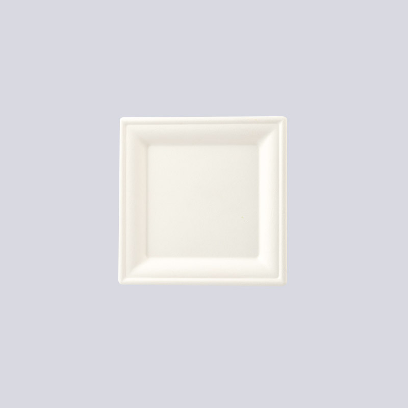 Molded Fiber Plate & Cup Tray